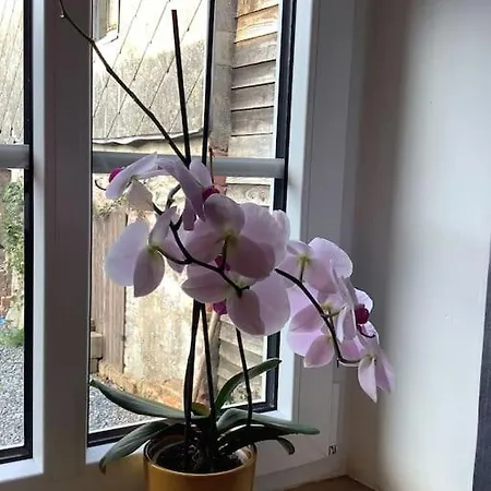 La Maisonnette Casa vacanze *