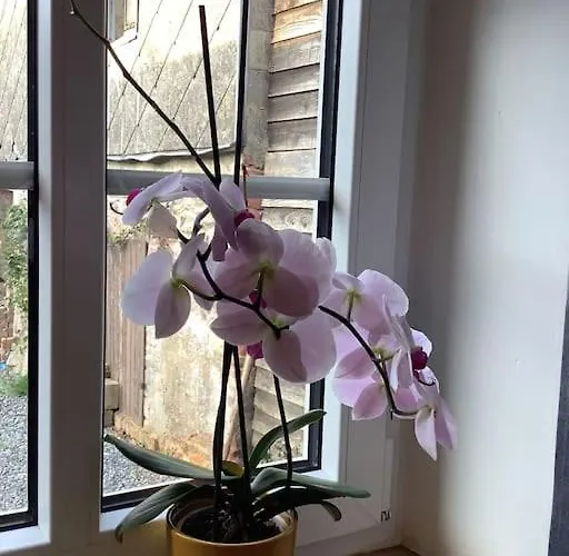 La Maisonnette Nyaraló *